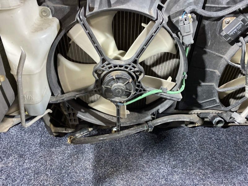 Ноускат, 32000 рублей, Солонцы