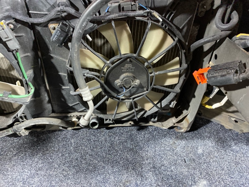 Ноускат, 32000 рублей, Солонцы