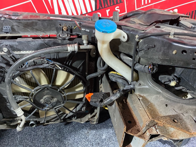 Ноускат, 32000 рублей, Солонцы