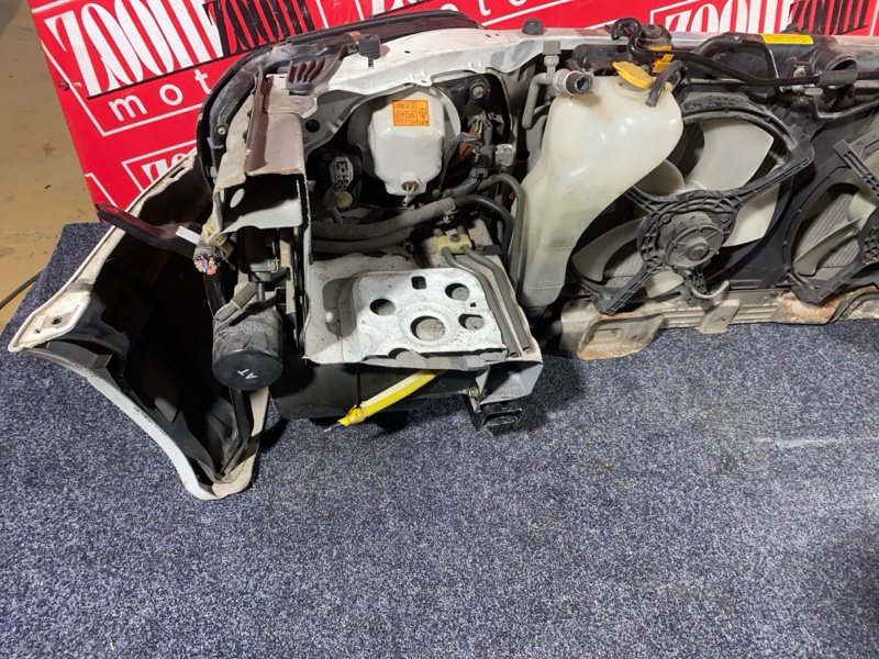 Nose cut, 35000 рублей, Солонцы