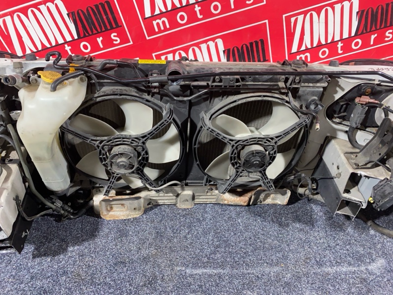 Nose cut, 35000 рублей, Солонцы