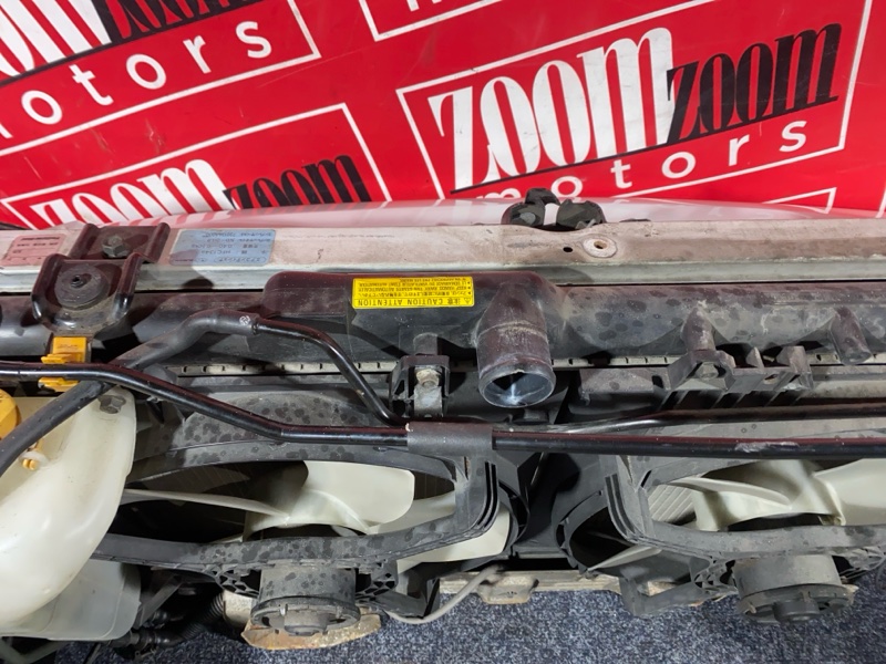 Nose cut, 35000 рублей, Солонцы