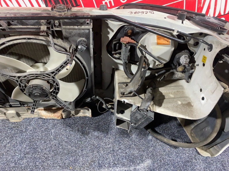 Nose cut, 35000 рублей, Солонцы