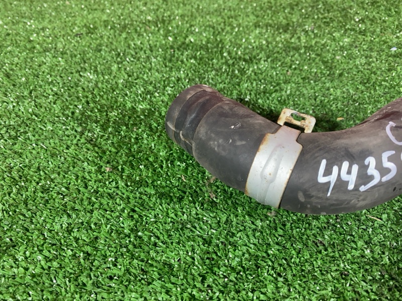 Патрубок радиатора, 900 рублей, Солонцы