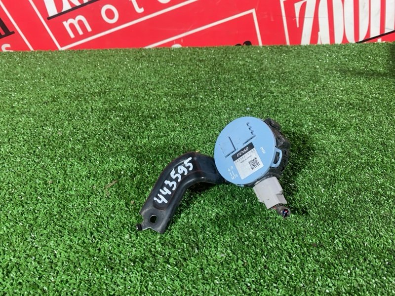 Сигнал, 900 рублей, Солонцы