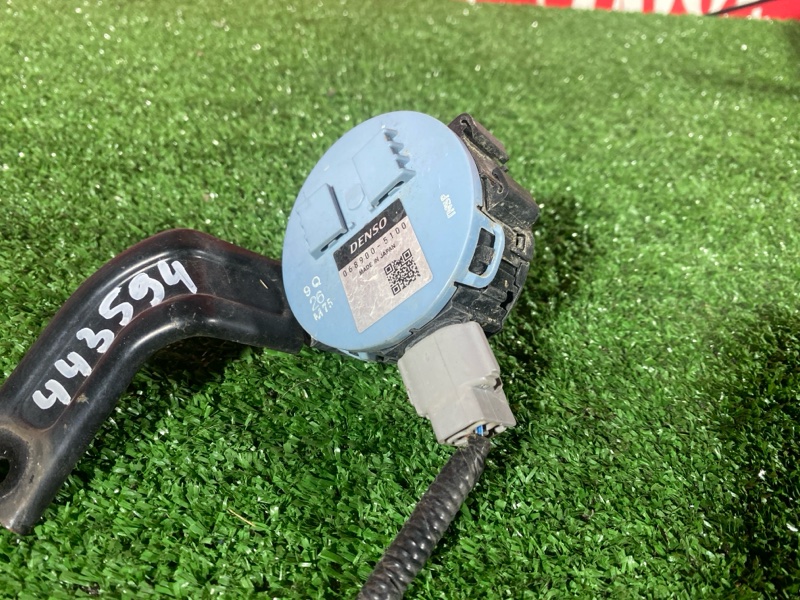 Сигнал, 900 рублей, Солонцы