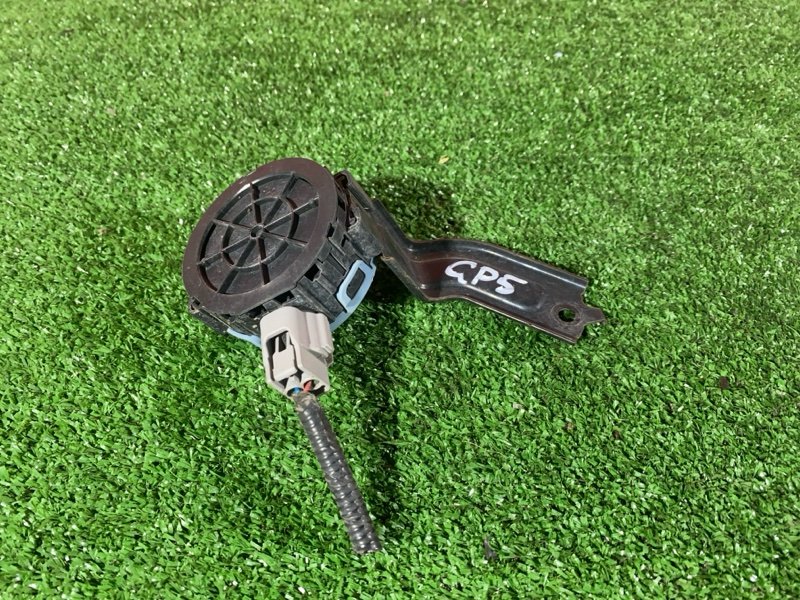 Сигнал, 900 рублей, Солонцы