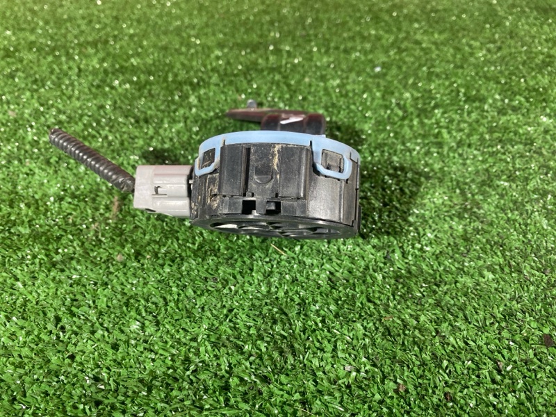 Сигнал, 900 рублей, Солонцы