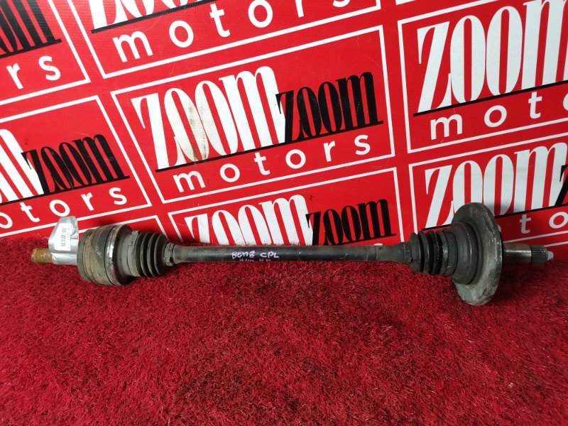 Привод, 2300 рублей, Солонцы