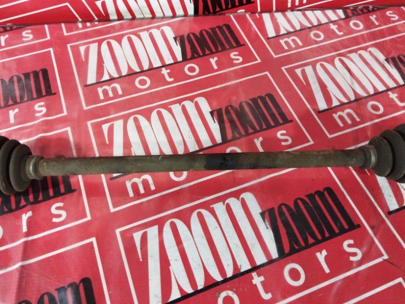 Привод, 1000 рублей, Солонцы