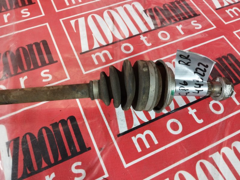 Привод, 1000 рублей, Солонцы