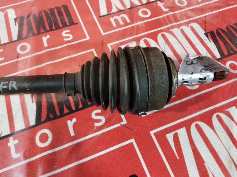 Привод, 1900 рублей, Солонцы