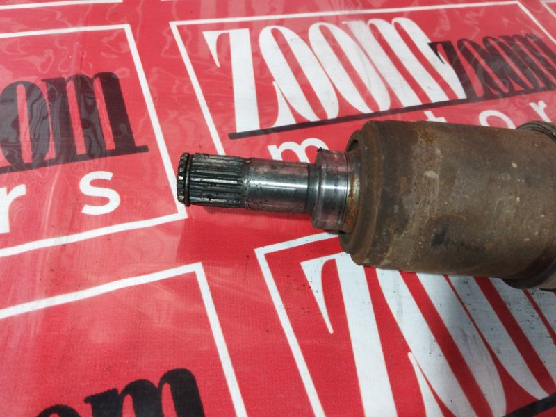 Привод, 1000 рублей, Солонцы