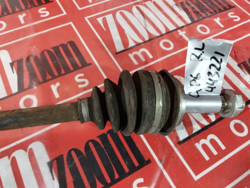 Привод, 1000 рублей, Солонцы