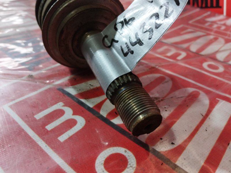 Привод, 1000 рублей, Солонцы