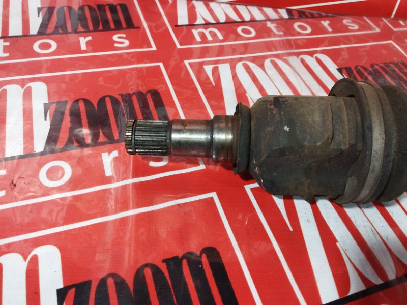 Привод, 3400 рублей, Солонцы