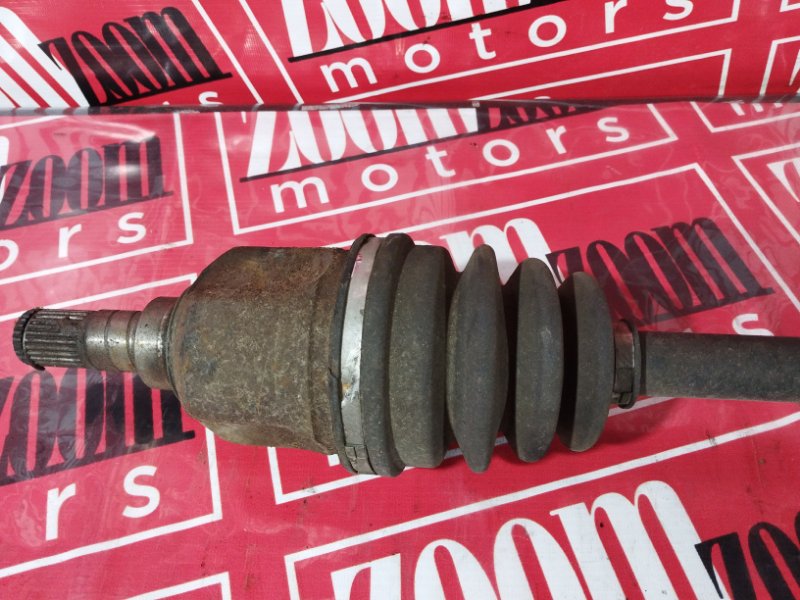 Привод, 2400 рублей, Солонцы