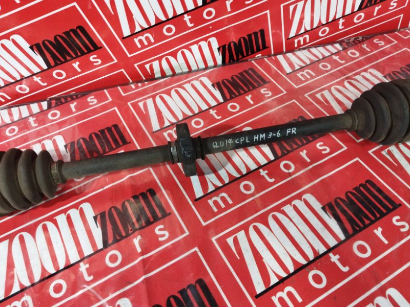 Привод, 2400 рублей, Солонцы