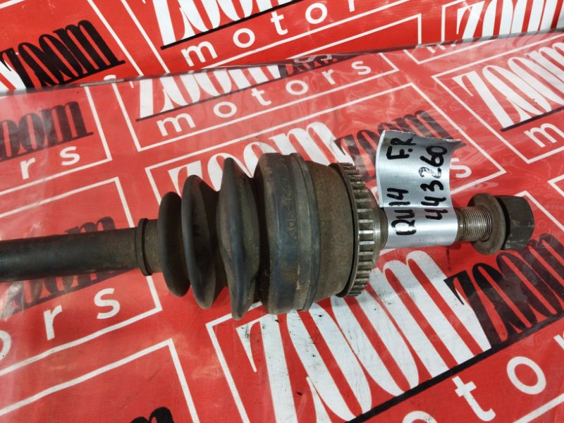 Привод, 2400 рублей, Солонцы