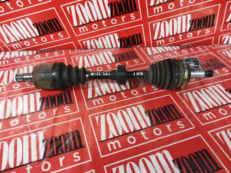 Привод, 2400 рублей, Солонцы