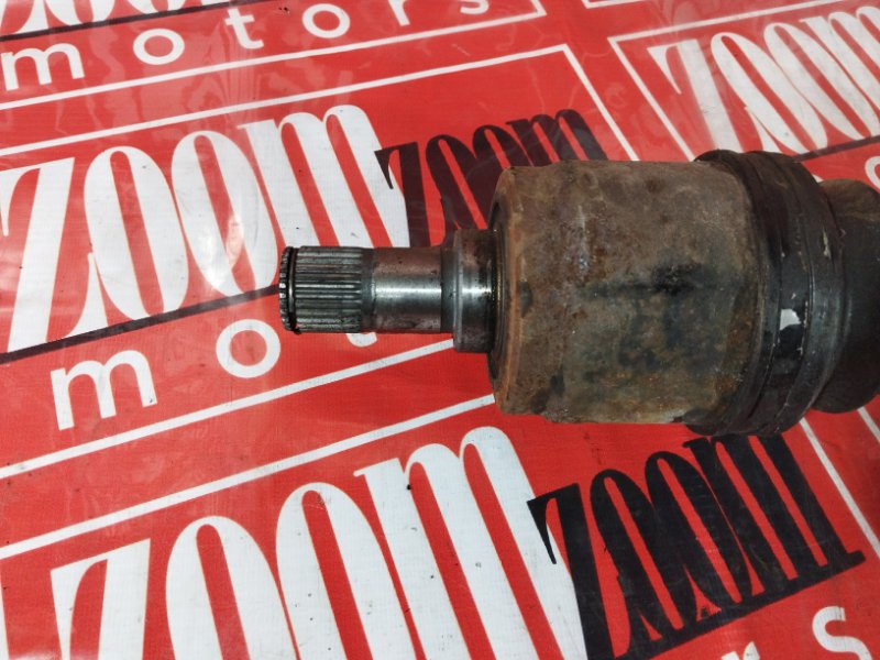 Привод, 2400 рублей, Солонцы