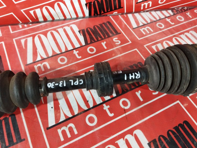 Привод, 2400 рублей, Солонцы