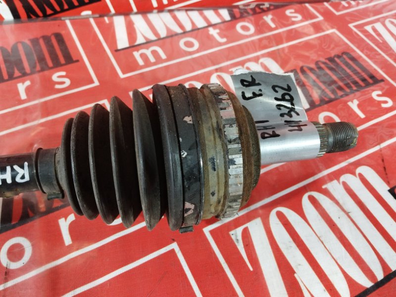 Привод, 2400 рублей, Солонцы