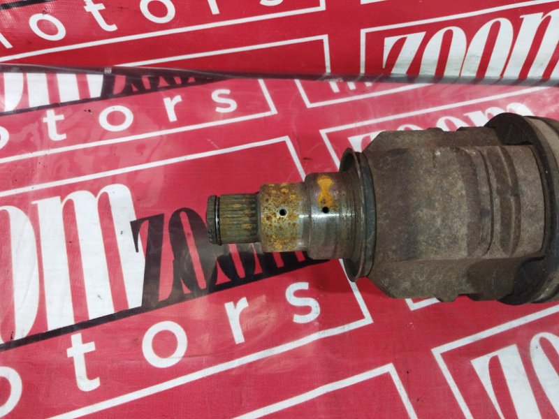 Привод, 5000 рублей, Солонцы