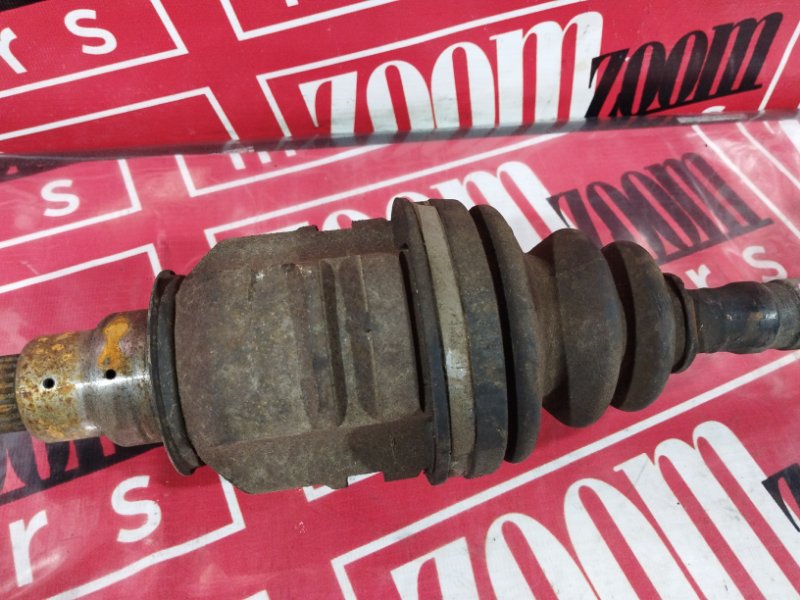 Привод, 5000 рублей, Солонцы