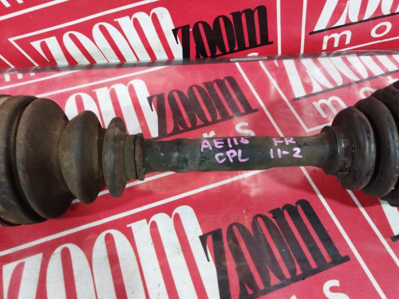 Привод, 5000 рублей, Солонцы