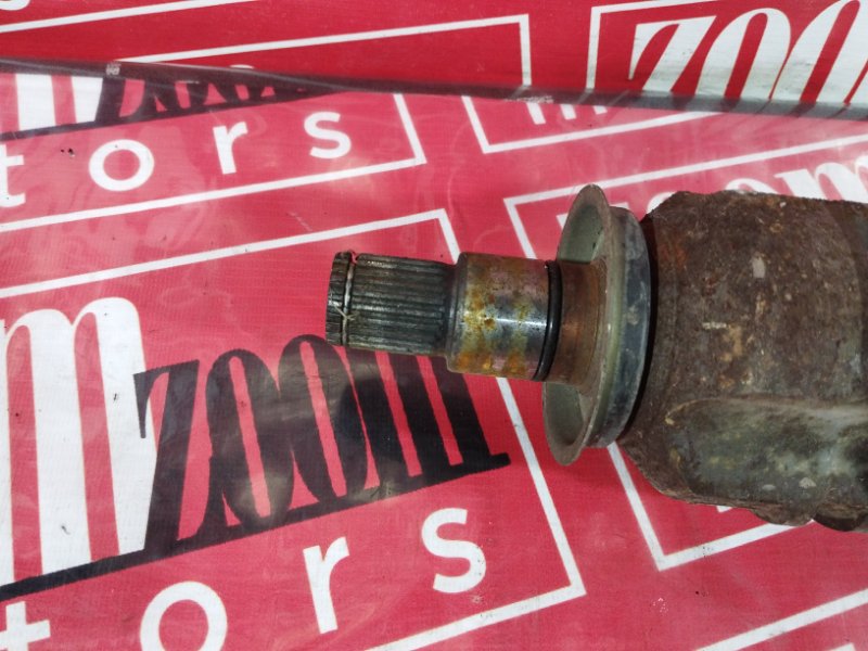 Привод, 5000 рублей, Солонцы