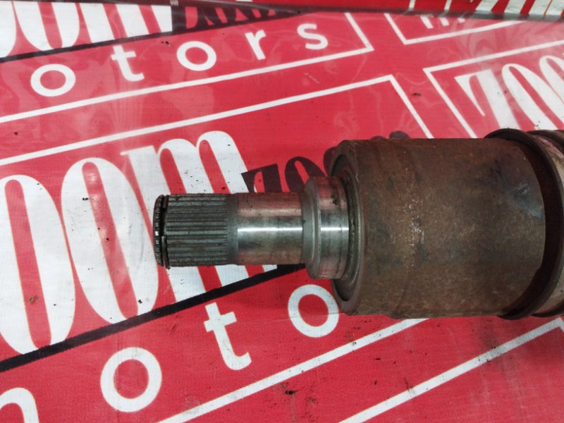 Привод, 1800 рублей, Солонцы