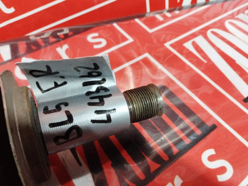 Привод, 3400 рублей, Солонцы