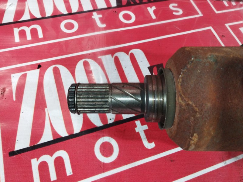 Привод, 3400 рублей, Солонцы