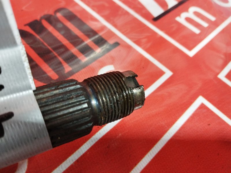 Привод, 1900 рублей, Солонцы