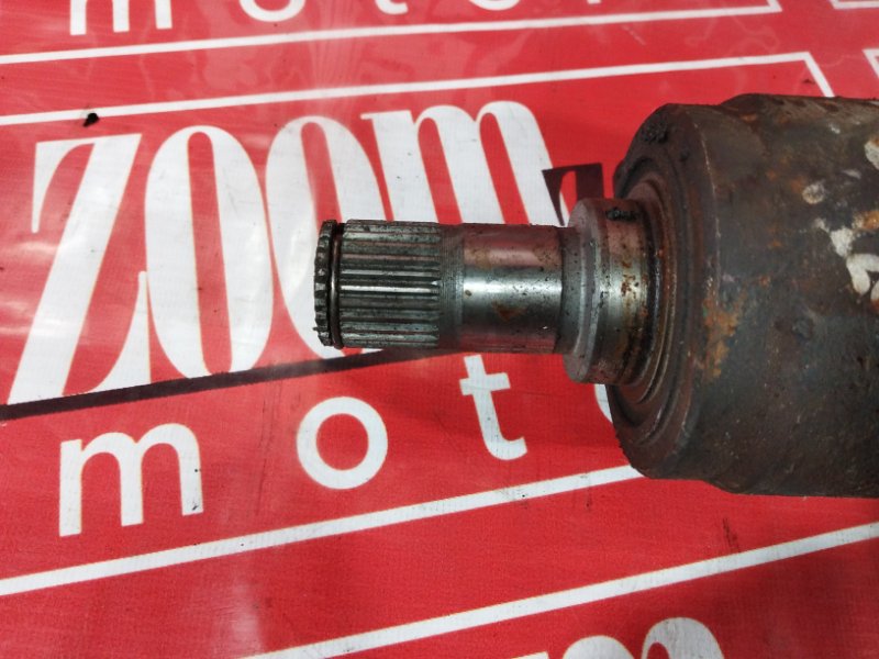 Привод, 2400 рублей, Солонцы