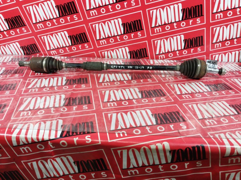 Привод, 1800 рублей, Солонцы