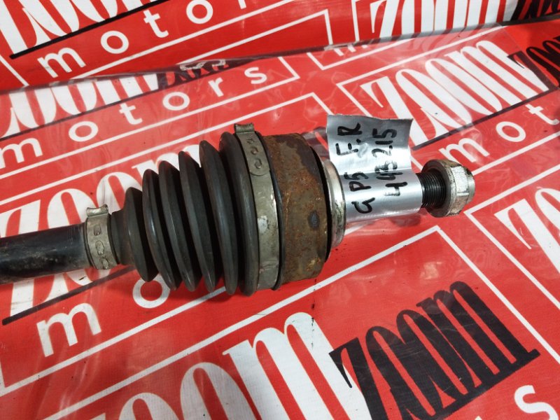 Привод, 1800 рублей, Солонцы