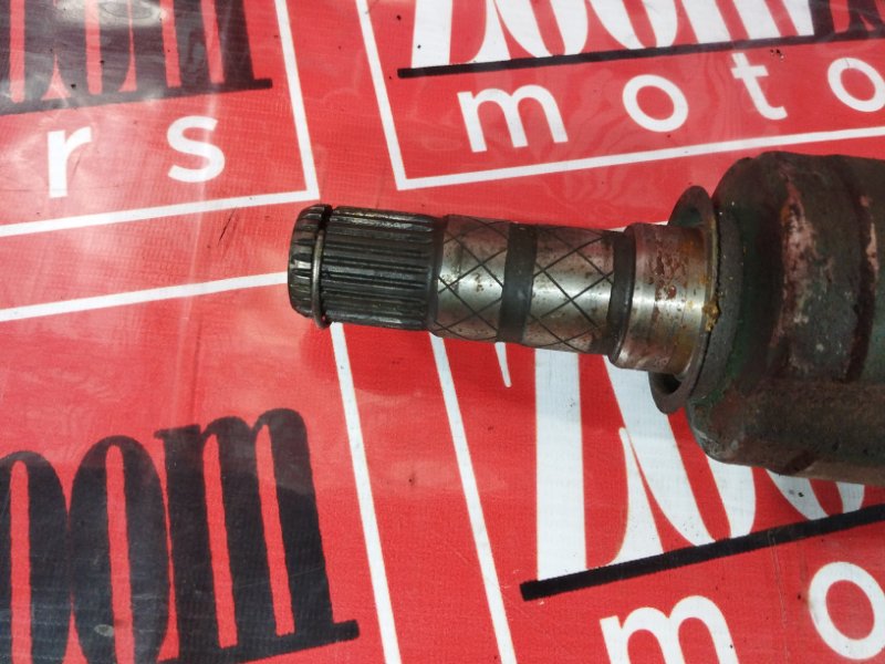 Привод, 3800 рублей, Солонцы