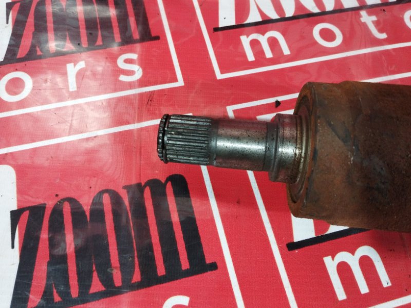 Привод, 1900 рублей, Солонцы