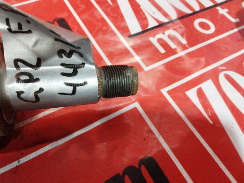 Привод, 1900 рублей, Солонцы