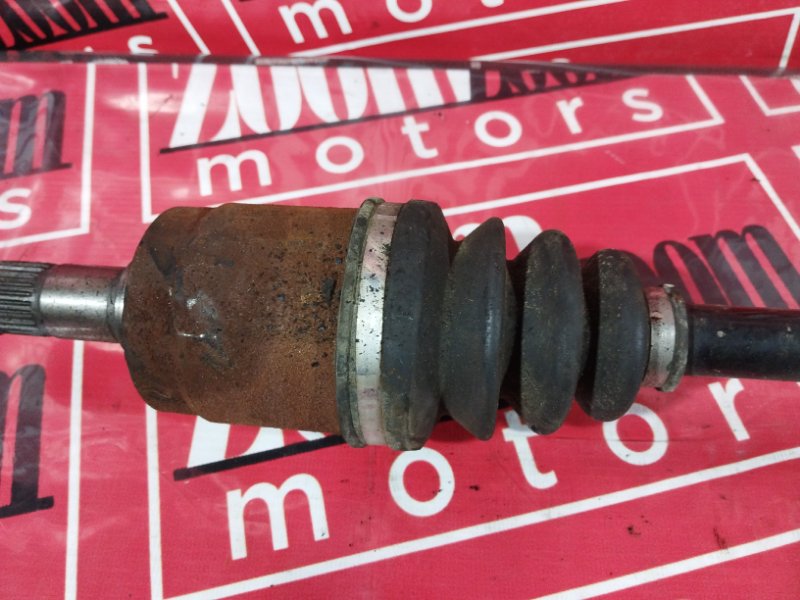 Привод, 1900 рублей, Солонцы