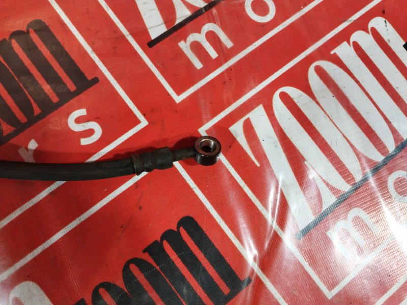 Шланг тормозной, 300 рублей, Солонцы