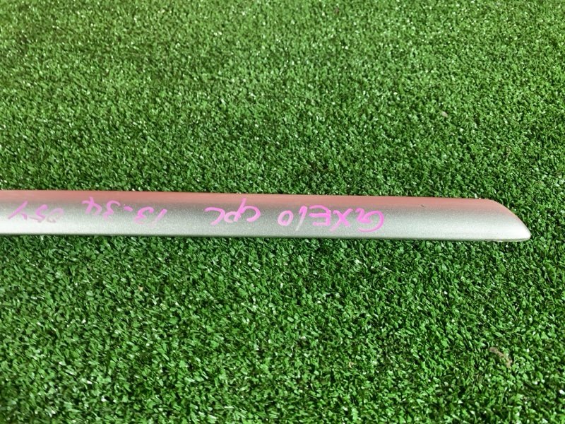 Молдинг, 1000 рублей, Солонцы