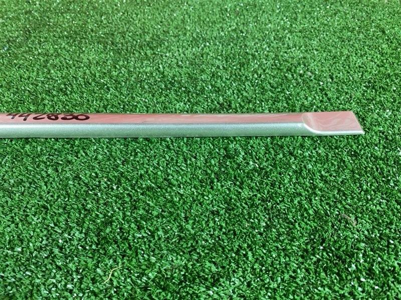 Молдинг, 1000 рублей, Солонцы