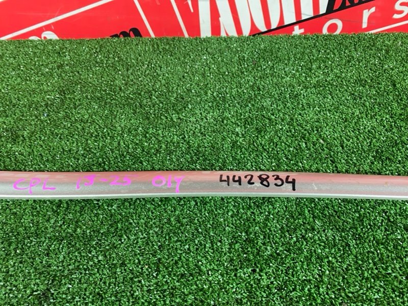 Молдинг, 1000 рублей, Солонцы