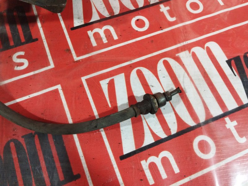 Суппорт, 1000 рублей, Солонцы