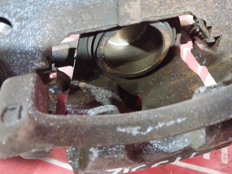 Суппорт, 1000 рублей, Солонцы