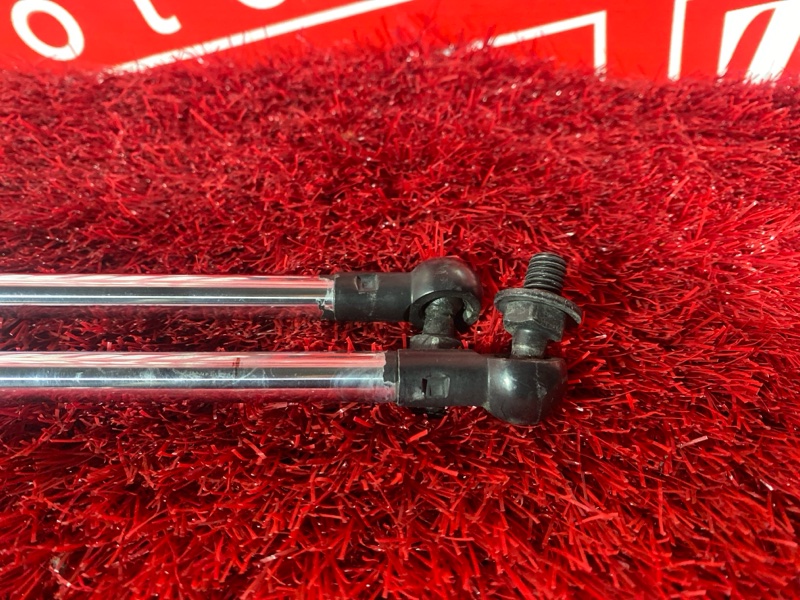 Амортизатор багажника, 500 рублей, Солонцы