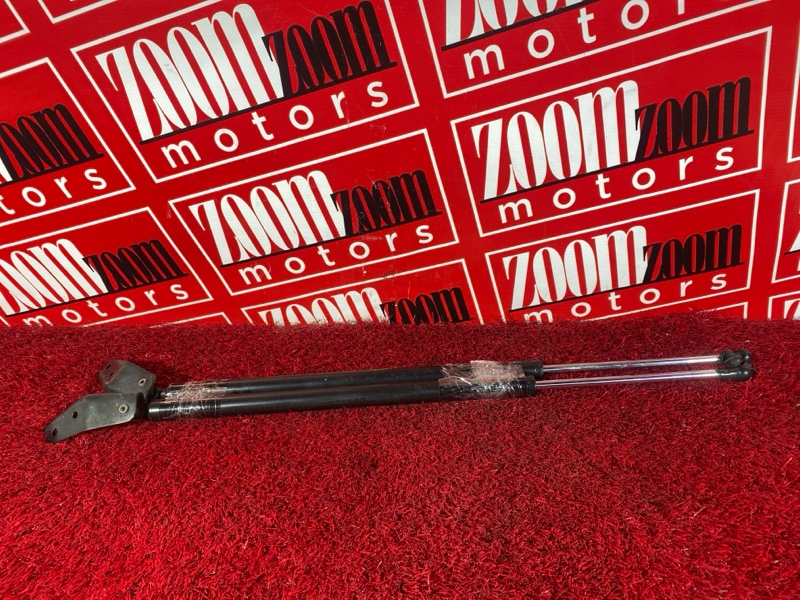 Амортизатор багажника, 500 рублей, Солонцы